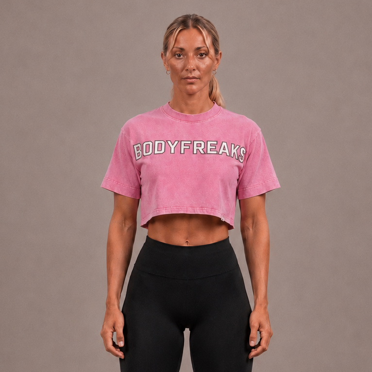 Dedicated 365 Crop Tee- STONE WASH PINK
